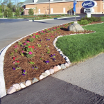 Culvers Flower Planting 4