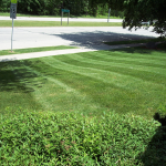 Milwaukee Lawn Care